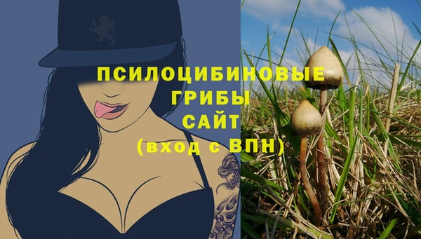 винт Армянск