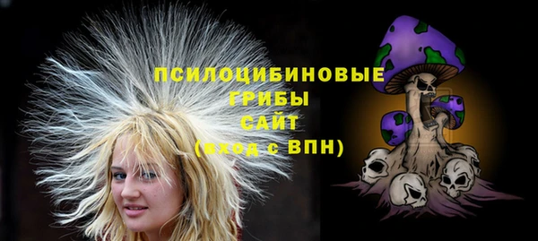 винт Армянск