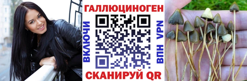 Галлюциногенные грибы мухоморы  Нальчик 