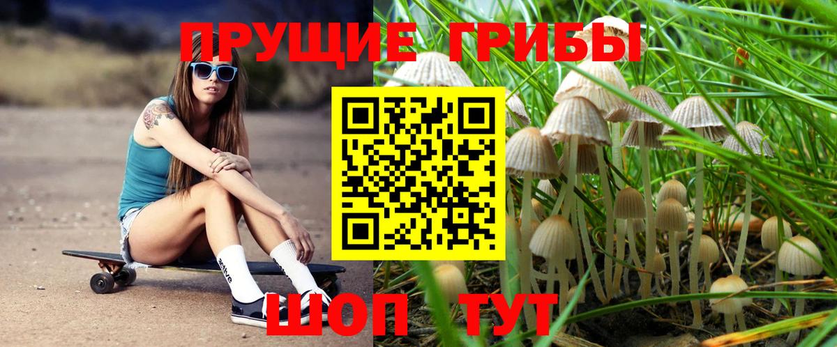 Псилоцибиновые грибы MAGIC MUSHROOMS Нальчик