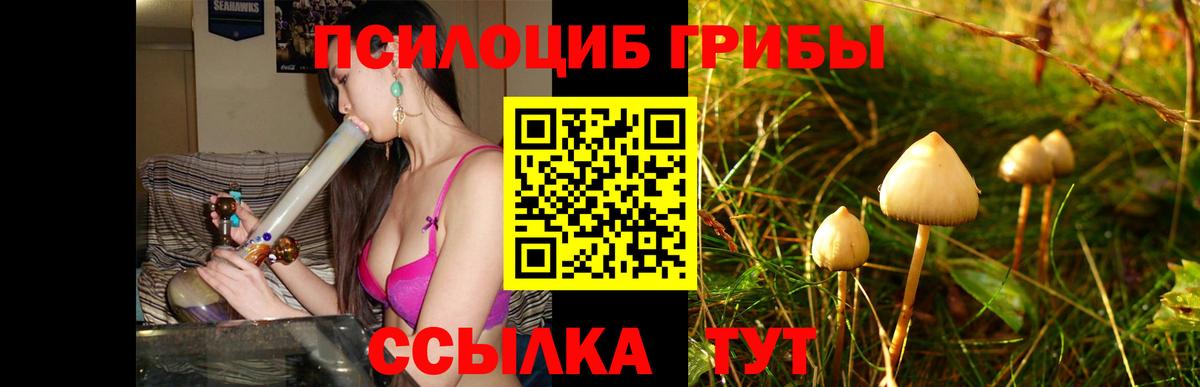 Нальчик  наркошоп  Галлюциногенные грибы Magic Shrooms  Вход с VPN  Галлюциногенные грибы Psilocybine cubensis 