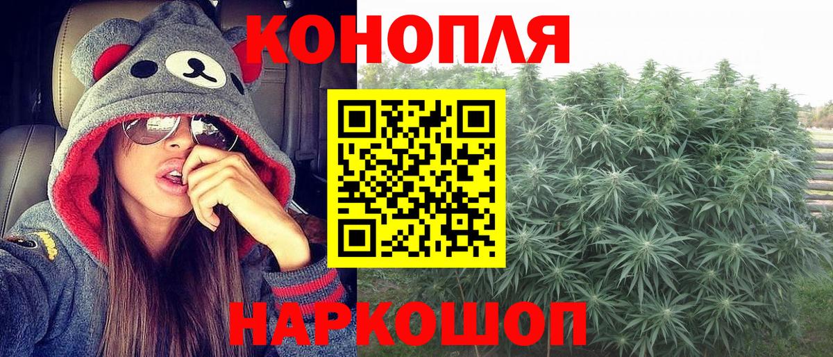 МАРИХУАНА план Нальчик